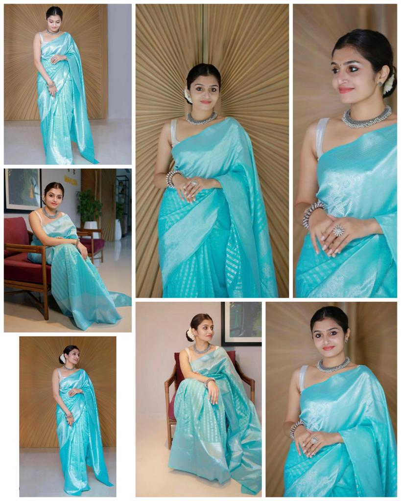 Sky Blue Rich Pallu And Jacquard Work Soft Silk Saree