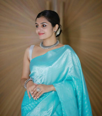 Sky Blue Rich Pallu And Jacquard Work Soft Silk Saree