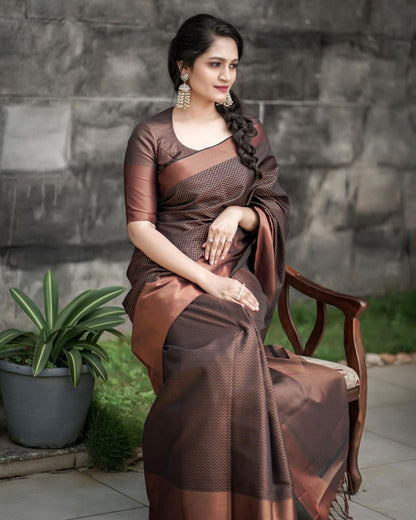 Beautiful Rich Pallu And Jaquard Work Brown Silk Saree