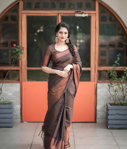 Beautiful Rich Pallu And Jaquard Work Brown Silk Saree