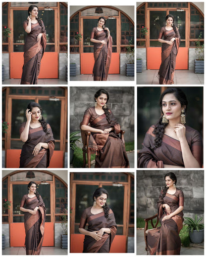 Beautiful Rich Pallu And Jaquard Work Brown Silk Saree