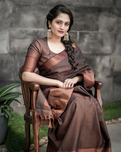 Beautiful Rich Pallu And Jaquard Work Brown Silk Saree