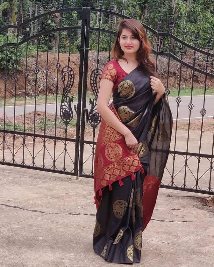 Black Silk Saree With Weaving Border