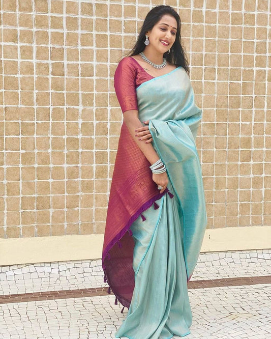 Sky Blue With Brown Border Color Soft Silk Saree