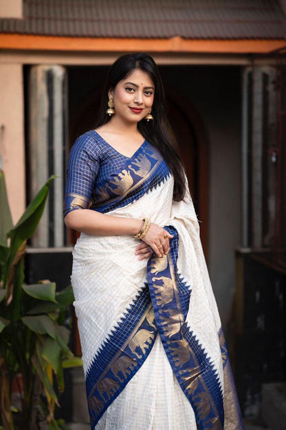 White And Blue Colour Rich Pallu Saree